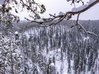 Park Narodowy Oulanka